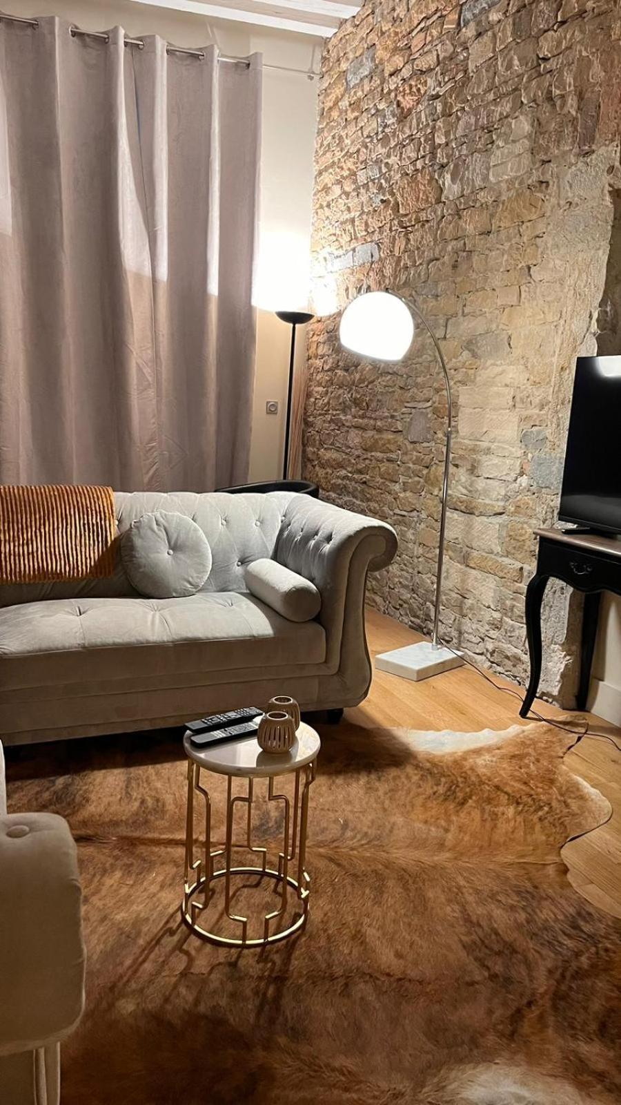 Ferienwohnung Le Panorama Lyon Exterior foto